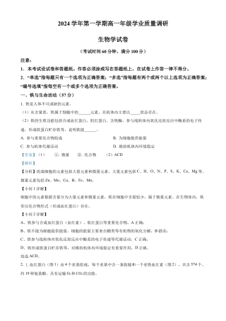 上海市闵行区2024-2025学年高一上学期期末生物试题  Word版含解析.docx