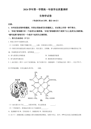 上海市闵行区2024-2025学年高一上学期期末生物试题  Word版无答案.docx