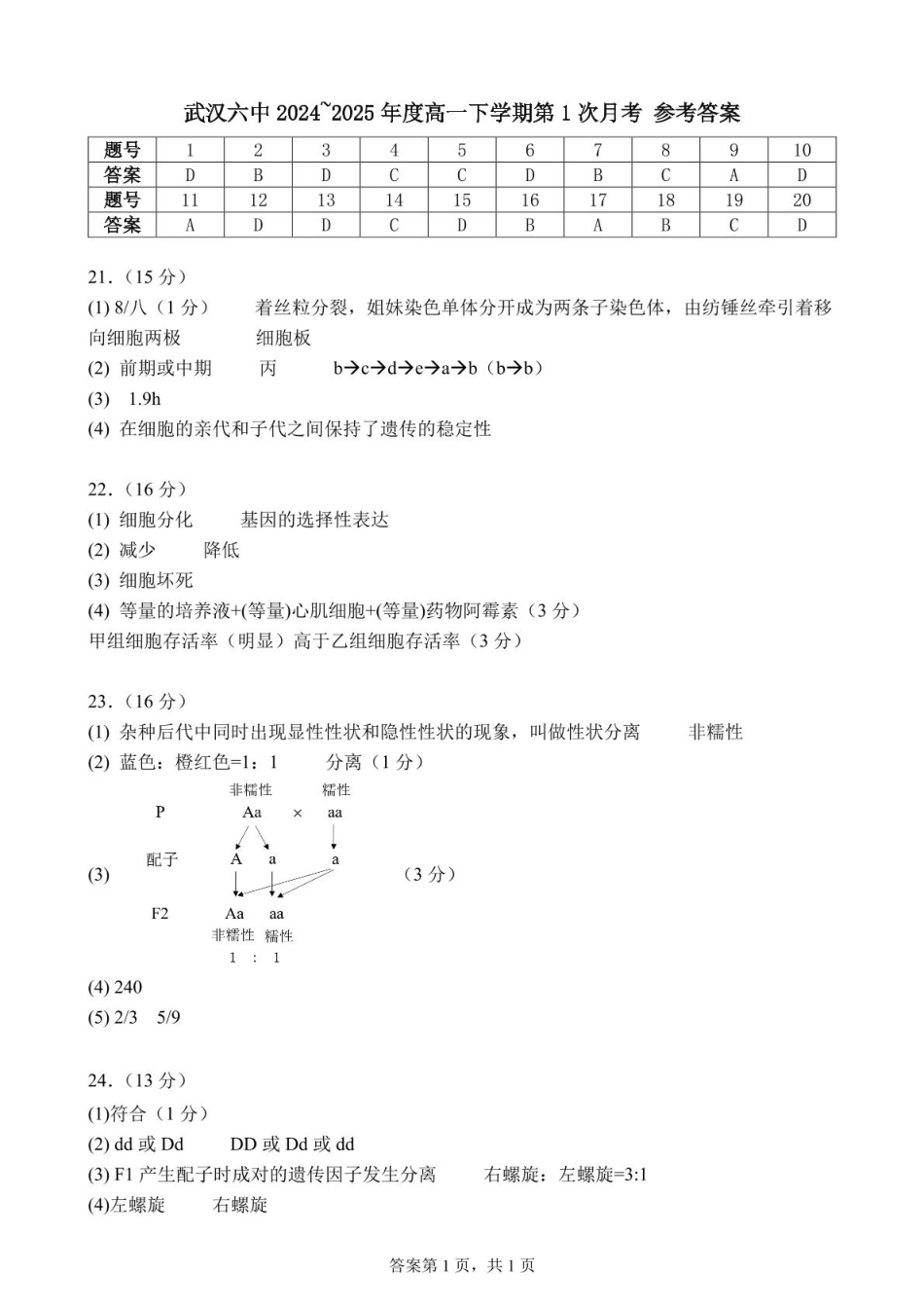 湖北省武汉市第六中学2024-2025学年高一下学期第1次月考生物试题 PDF版含答案_高一下学期第1次月考 答案.pdf_第1页