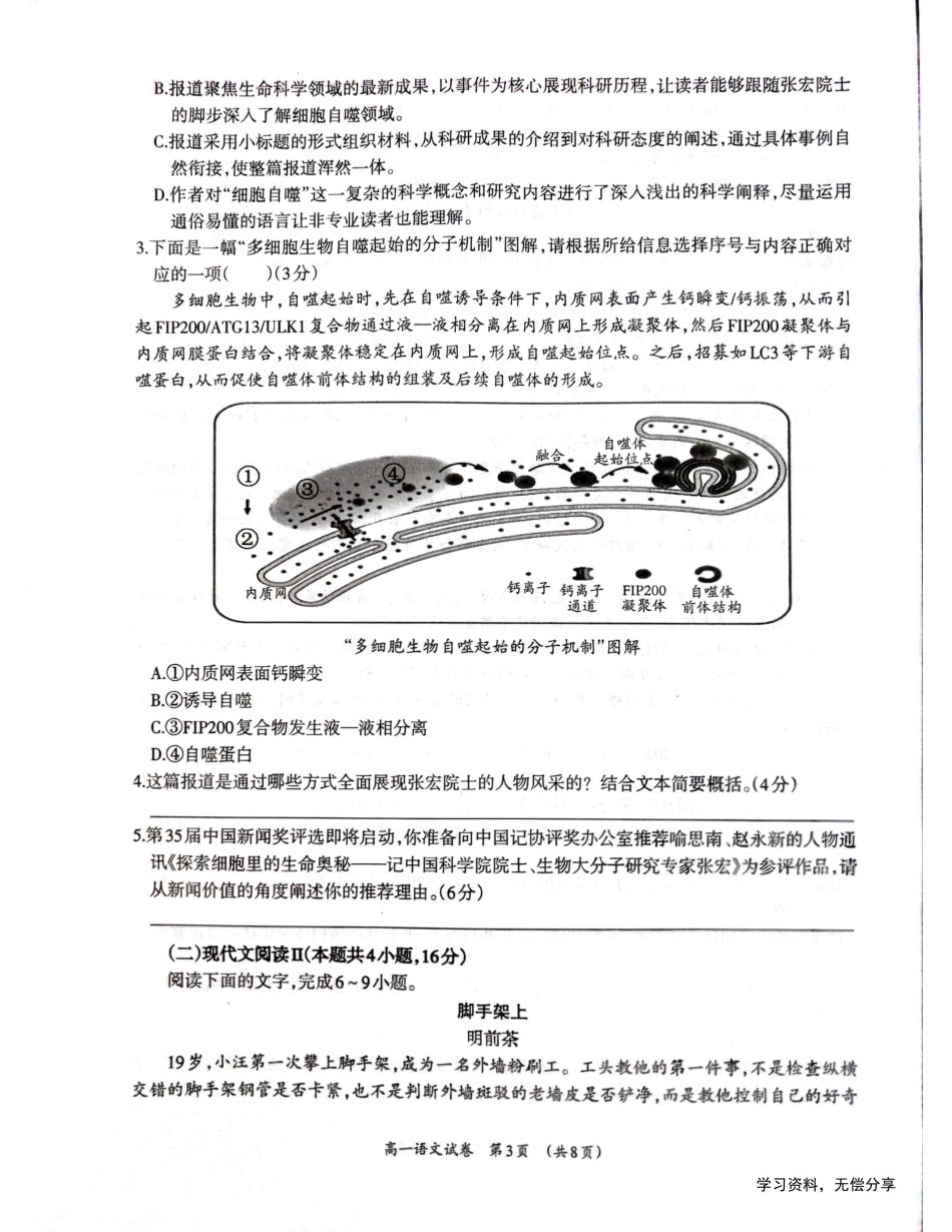 柳州市2024-12月高一联考语文试卷.pdf_第3页
