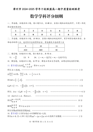 福建省漳州市十校联盟2024-2025学年高一上学期11月期中数学答案.pdf