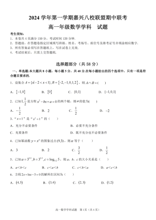 浙江省嘉兴八校2024-2025学年高一期中_数学卷-嘉兴八校高一期中.pdf