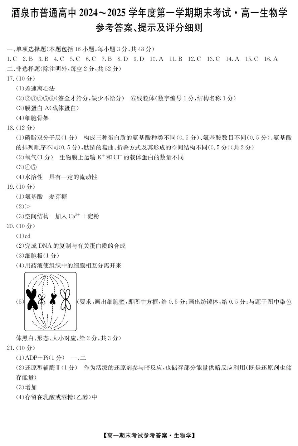 甘肃省酒泉市2024-2025学年高一上学期1月期末考试  生物  PDF版含答案_sw1 25042A酒泉期末-生物da.pdf_第1页