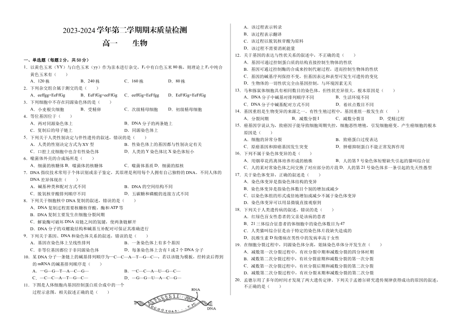 甘肃省武威市2023-2024学年高一下学期期末质量检测生物试卷.docx_第1页