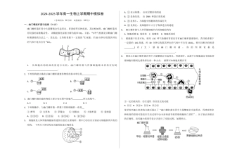 高一生物期中模拟卷（考试版A3）（上海专用）.docx