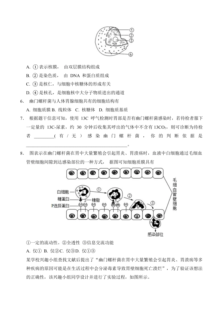 高一生物期中模拟卷（考试版A4）（上海专用）.docx_第2页