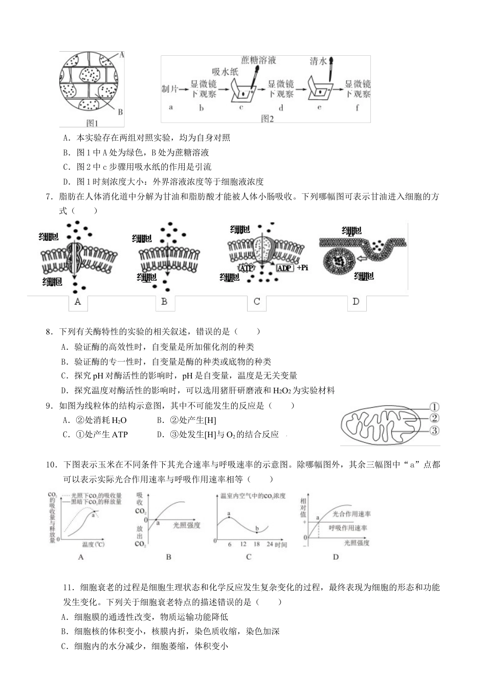 湖南省张家界市2024-2025学年高一上学期期末考试生物试题.docx_第2页