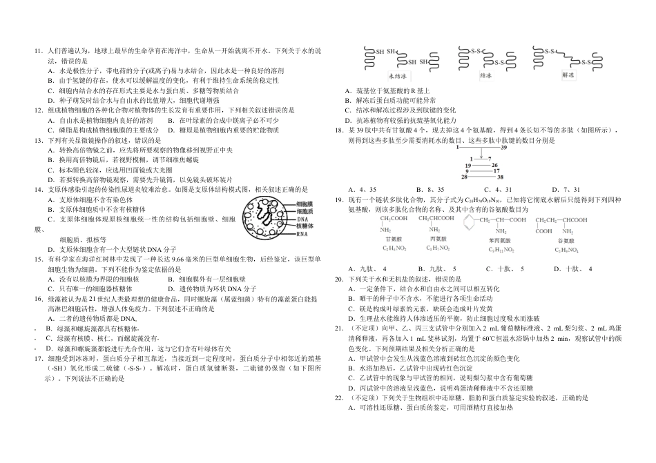 吉林省长春市朝阳区长春外国语学校2024-2025学年高一上学期9月月考生物试题.docx_第2页