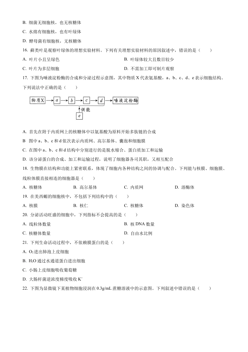 四川省绵阳市2024-2025学年高一上学期11月期中考试生物试题  Word版无答案.docx_第3页