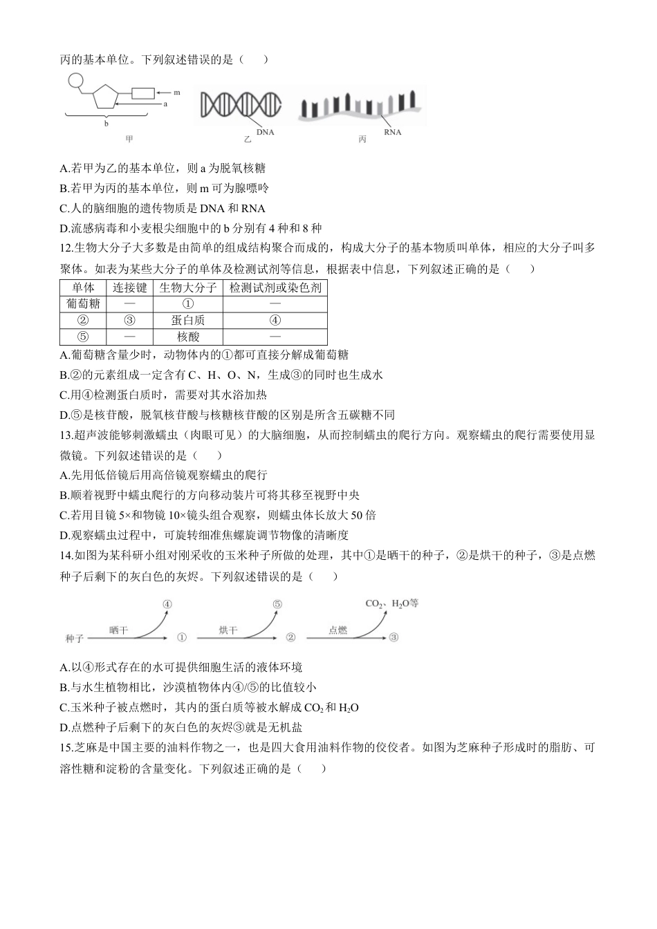 广东省衡水金卷2024-2025学年高一上学期11月联考生物试题.docx_第3页