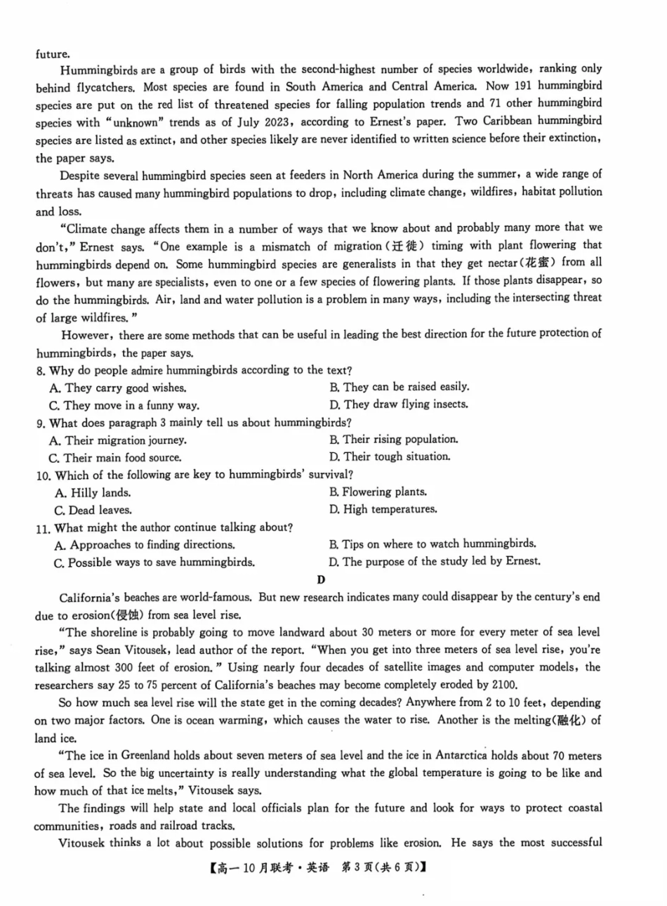 英语-河南洛阳九师联盟2024-2025学年高一上学期10月联考 (1).pdf_第3页