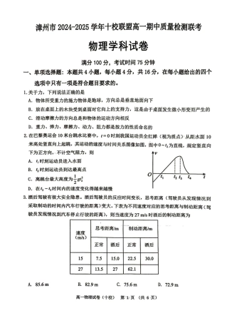 福建省漳州市十校联盟2024-2025学年高一上学期11月期中物理试题.pdf