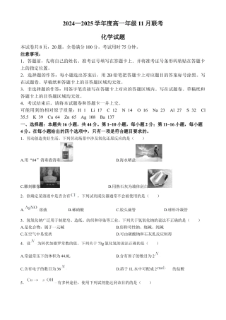 广东省衡水金卷2024-2025学年高一上学期11月联考化学试题（含解析）.docx