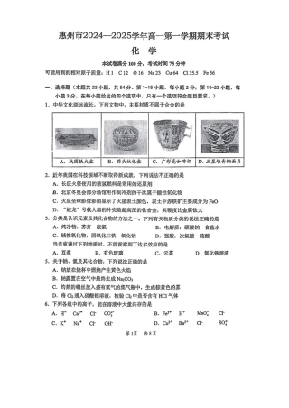 广东省惠州市2024-2025学年高一上学期1月期末考试 化学试题（图片版，无答案）.pdf