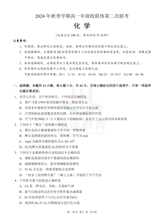 广西河池市2024-2025学年高一上学期12月联盟考试化学_高一化学 试题（新）.pdf