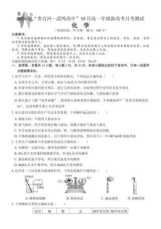 广西壮族自治区贵百河-武鸣高中2024-2025学年高一上学期10月月考试题 化学 Word版含答案.docx