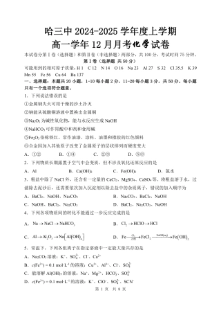 哈三中2024-2025学年度上学期 高一学年12月月考化学试卷.pdf