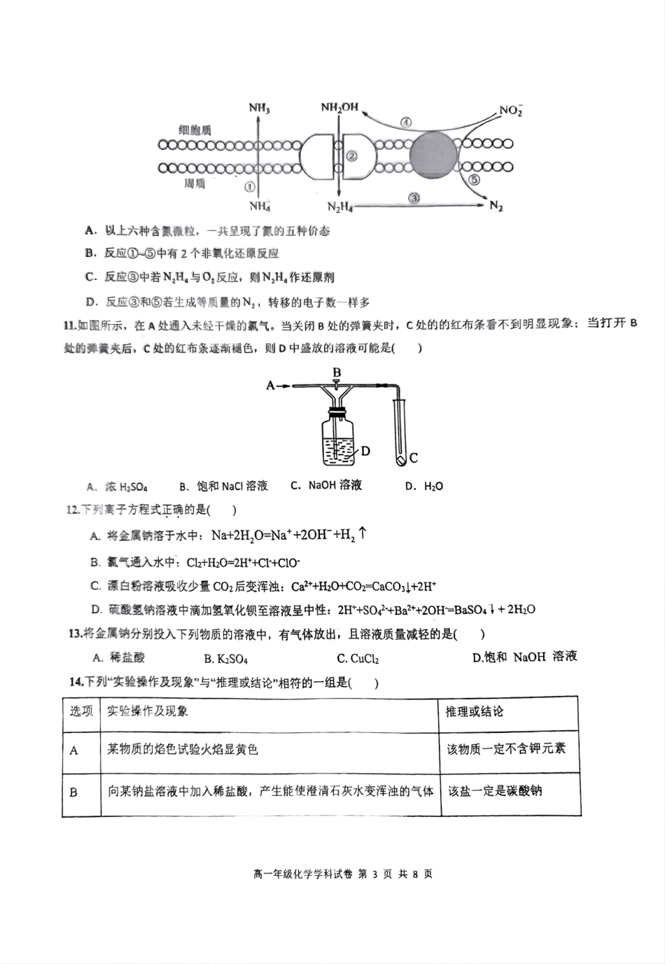 海南省先锋联盟2024-2025学年高一上学期11月期中考试化学试题含答案_化学.pdf_第3页