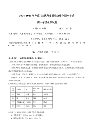 辽宁省沈阳市五校协作体2024-2025学年高一上学期期末考试化学试卷（含答案）.docx