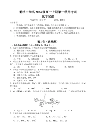 四川省遂宁市射洪中学2024-2025学年高一上学期第一学月考试化学试题 Word版无答案.docx