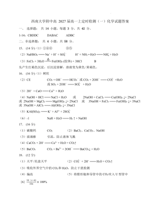 西南大学附中高一10月月考化学答案.pdf