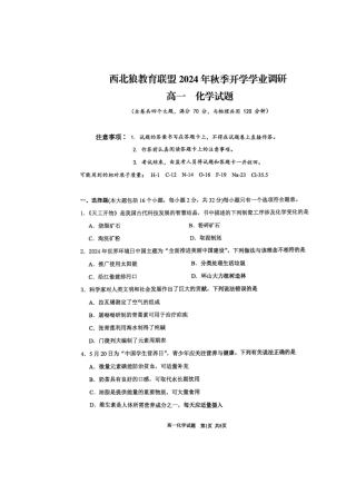 重庆市西北狼教育联盟2024-2025学年高一上学期入学考试+化学试题.docx
