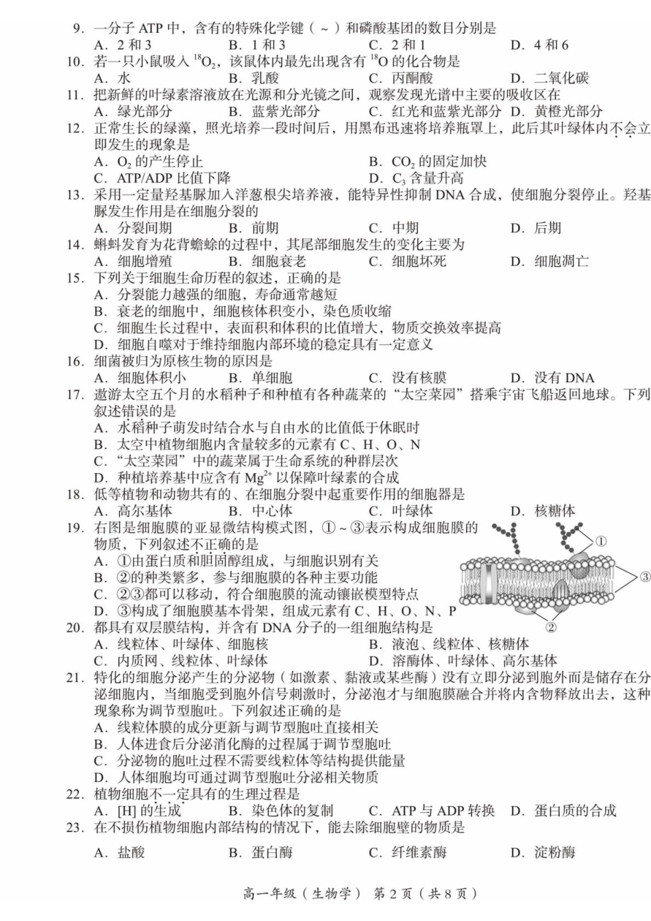 北京市海淀区2024-2025学年高一上学期1月期末考试生物试卷（扫描版有答案）.pdf_第2页