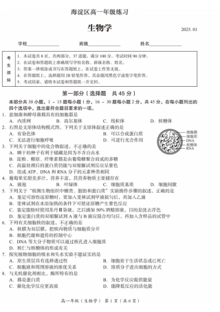 北京市海淀区2024-2025学年高一上学期1月期末考试生物试卷（扫描版有答案）.pdf