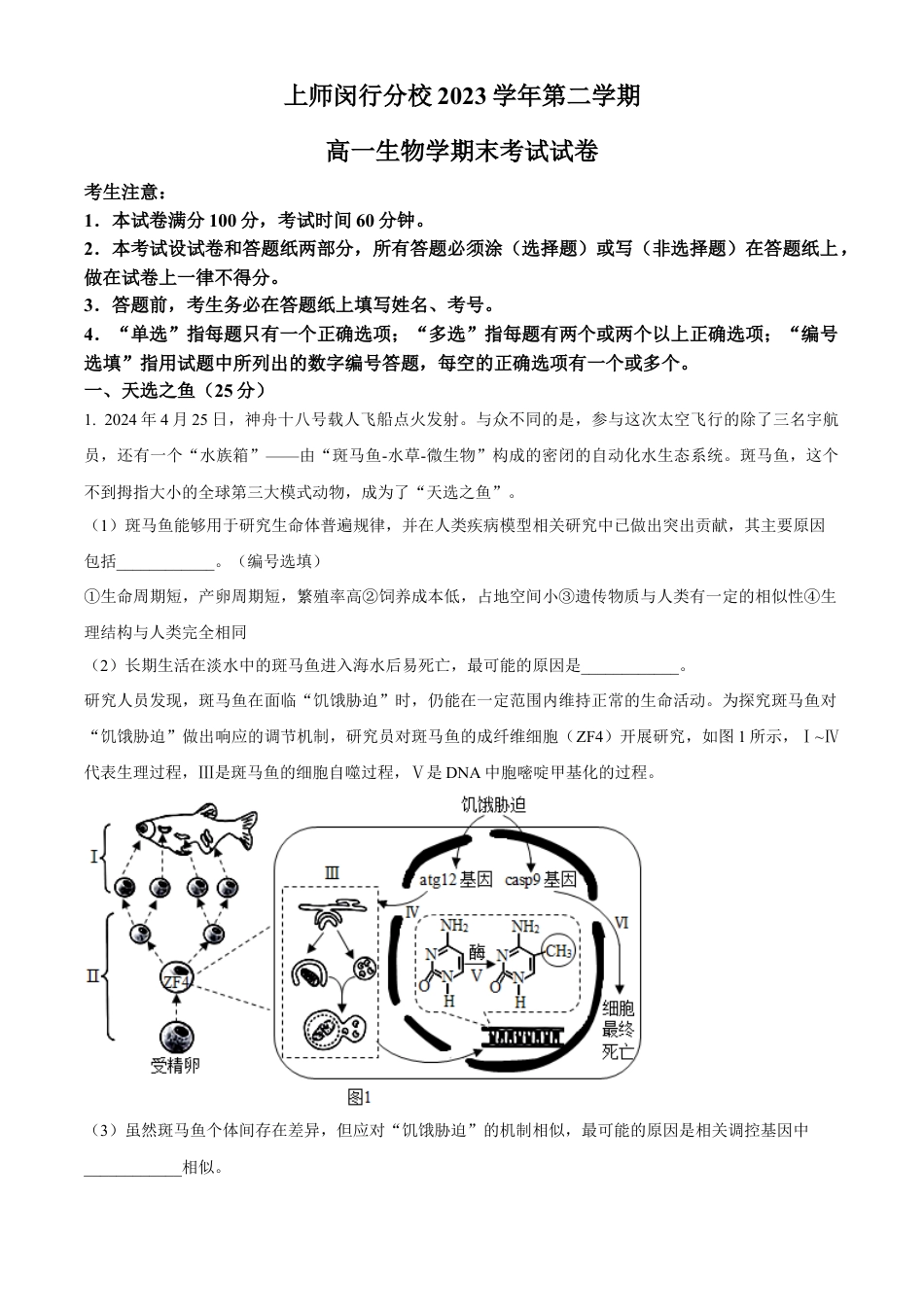 上海市闵行区上海师范大学附属中学闵行分校2023-2024学年高一下学期6月期末生物试题.docx_第1页