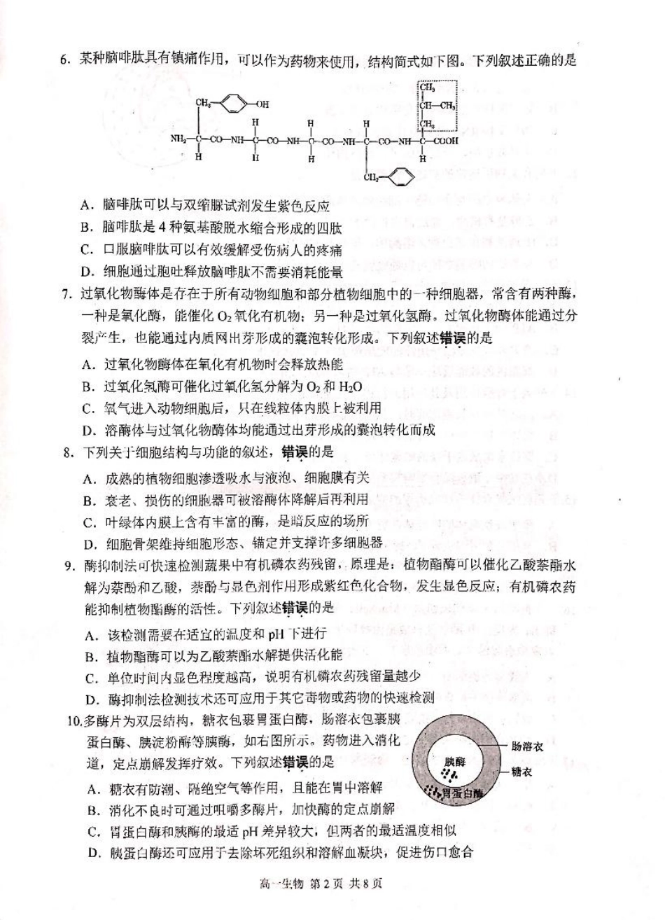 江苏省苏州市2024-2025学年高一上学期1月期末学业阳光指标调研试题 生物 PDF版无答案.pdf_第2页
