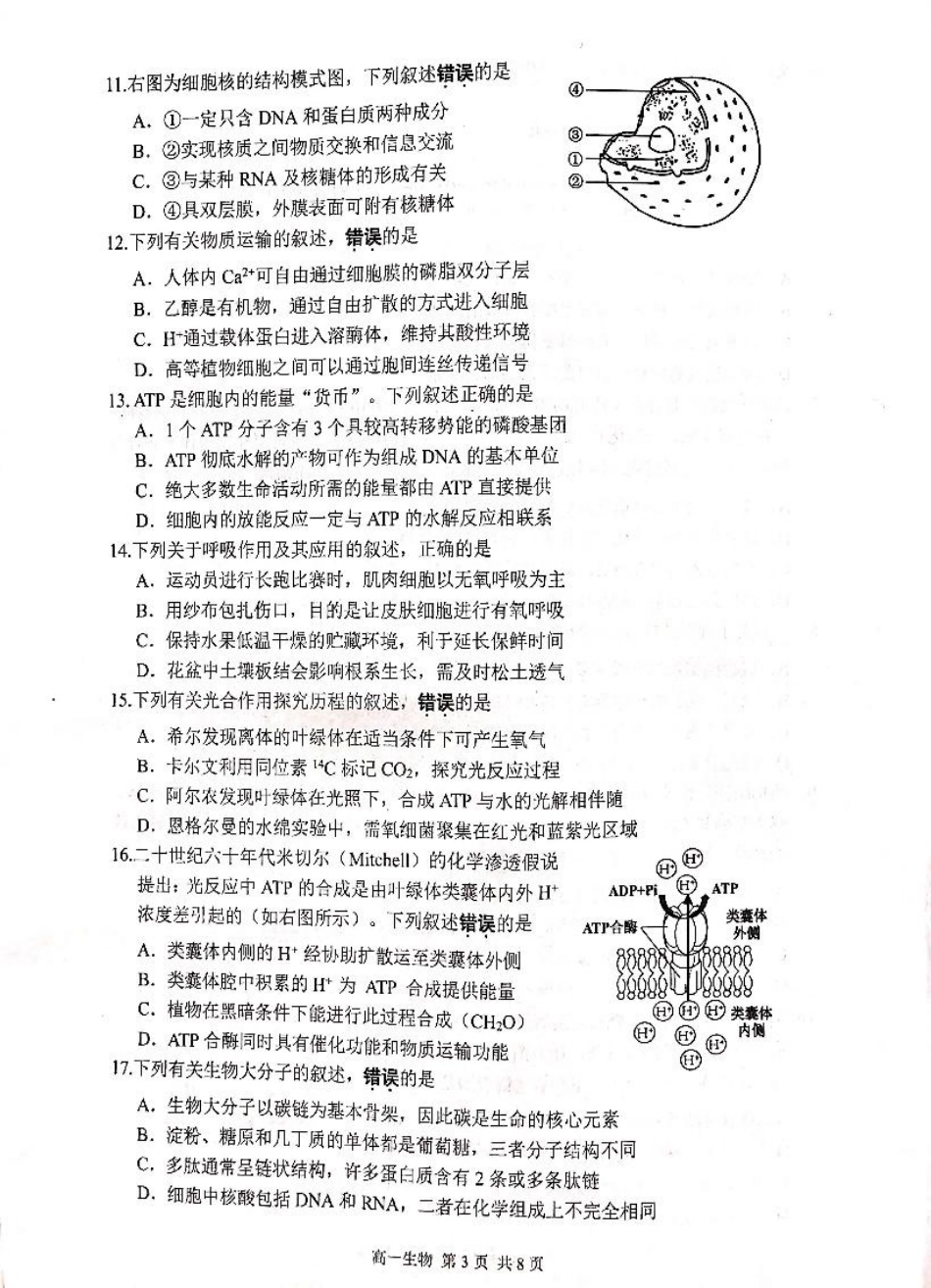 江苏省苏州市2024-2025学年高一上学期1月期末学业阳光指标调研试题 生物 PDF版无答案.pdf_第3页