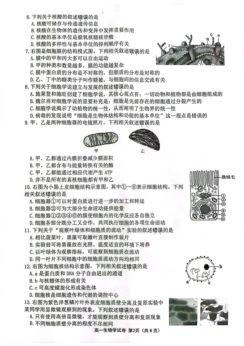 江苏省连云港市2024-2025学年高一上学期期末调研考试 生物 PDF版含答案.pdf_第2页