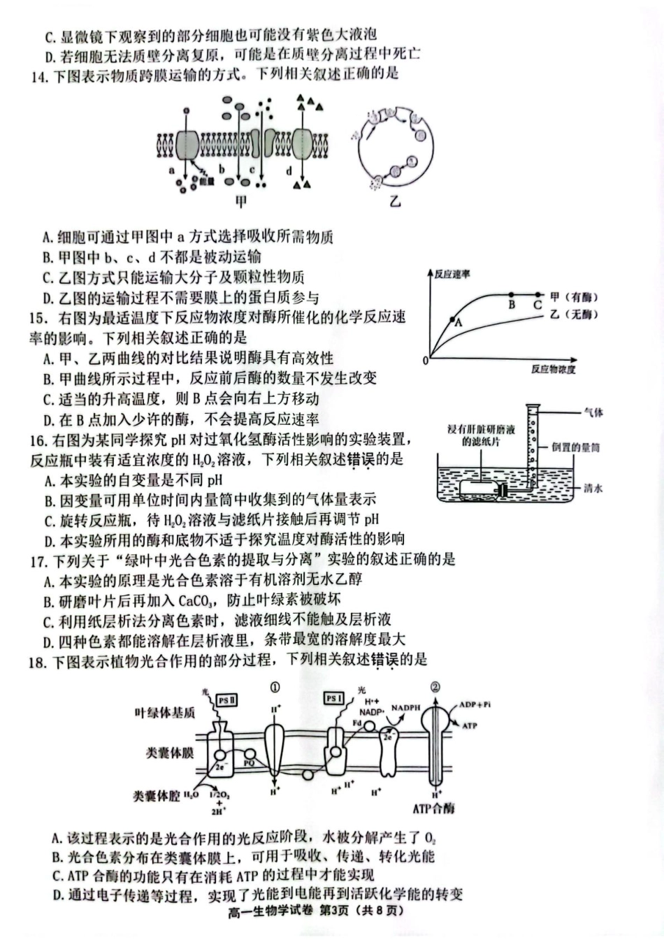 江苏省连云港市2024-2025学年高一上学期期末调研考试 生物 PDF版含答案.pdf_第3页
