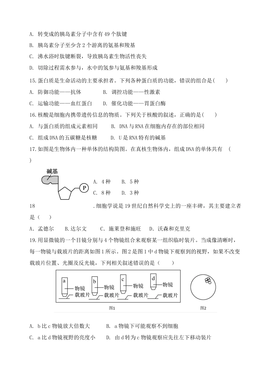 江苏省盐城市五校联考2024-2025学年高一上学期11月期中考试 生物 Word版含答案.docx_第3页
