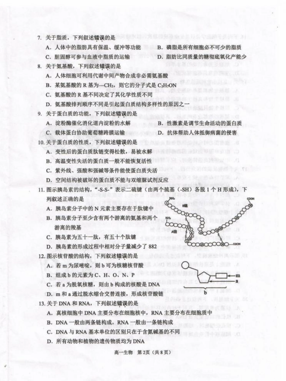 江苏省淮安市2024-2025学年高一上学期1月期末考试 生物 PDF版无答案.pdf_第2页