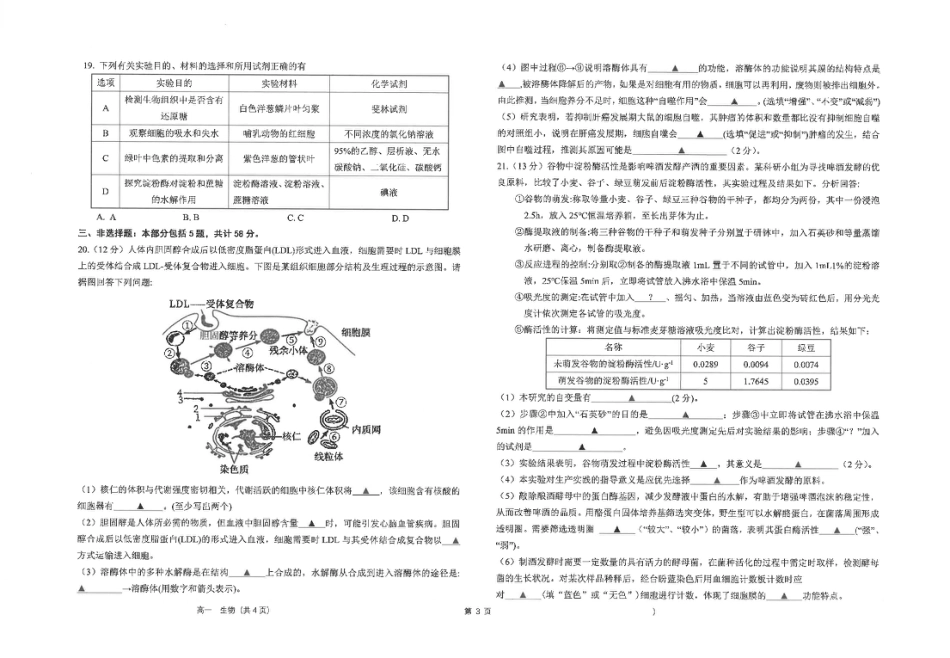 江苏省海安高级中学2024-2025学年高一上学期12月月考试题 生物 PDF版含答案.pdf_第3页