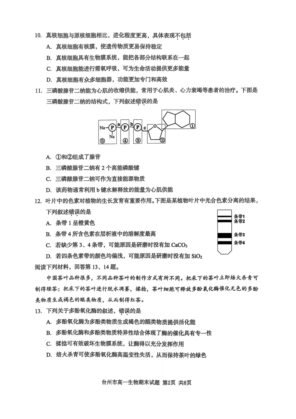 浙江省台州市2024学年第一学期高一年级期末质量评估试题生物(扫描版有答案).pdf_第2页