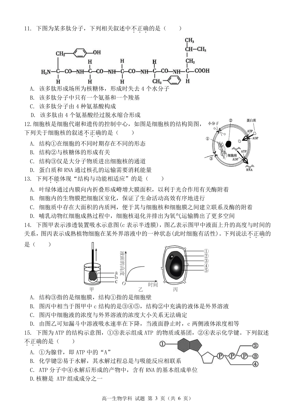 浙江省温州新力量联盟2024-2025学年高一上学期期中联考生物试题_高一生物试题.pdf_第3页