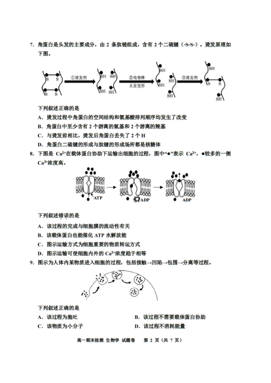 浙江省嘉兴市2024-2025学年高一上学期期末检测试题 生物 PDF版含答案.pdf_第2页