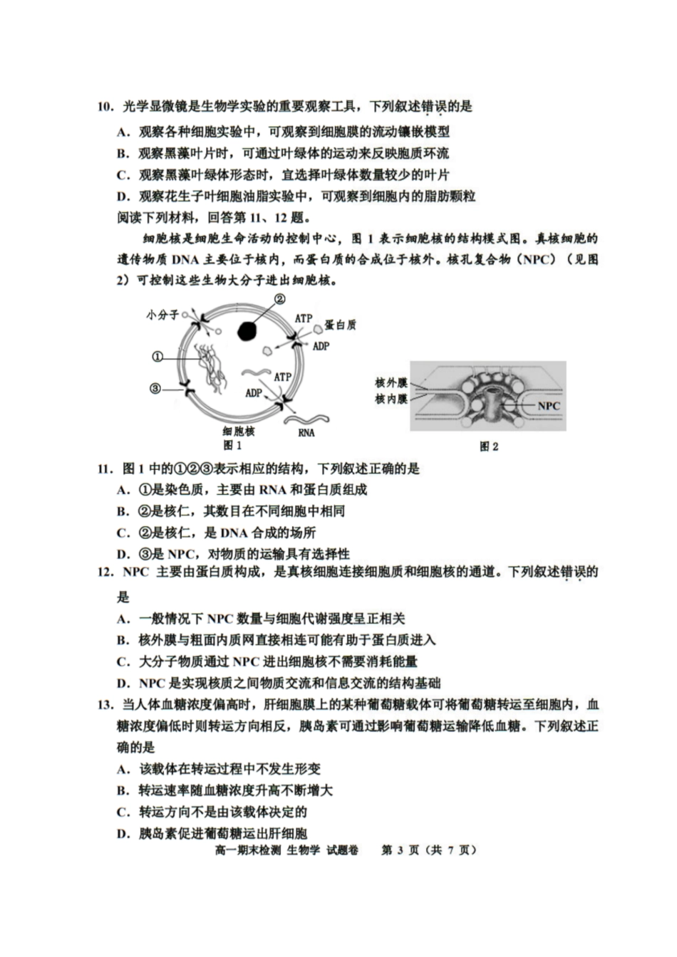 浙江省嘉兴市2024-2025学年高一上学期期末检测试题 生物 PDF版含答案.pdf_第3页
