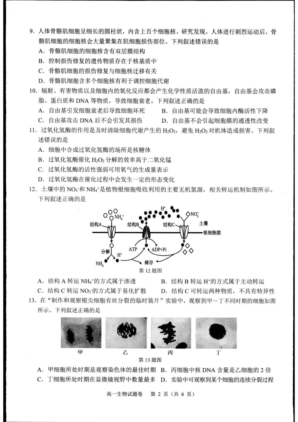 浙江省杭州市2024-2025学年高一上学期1月期末生物试题.pdf_第2页