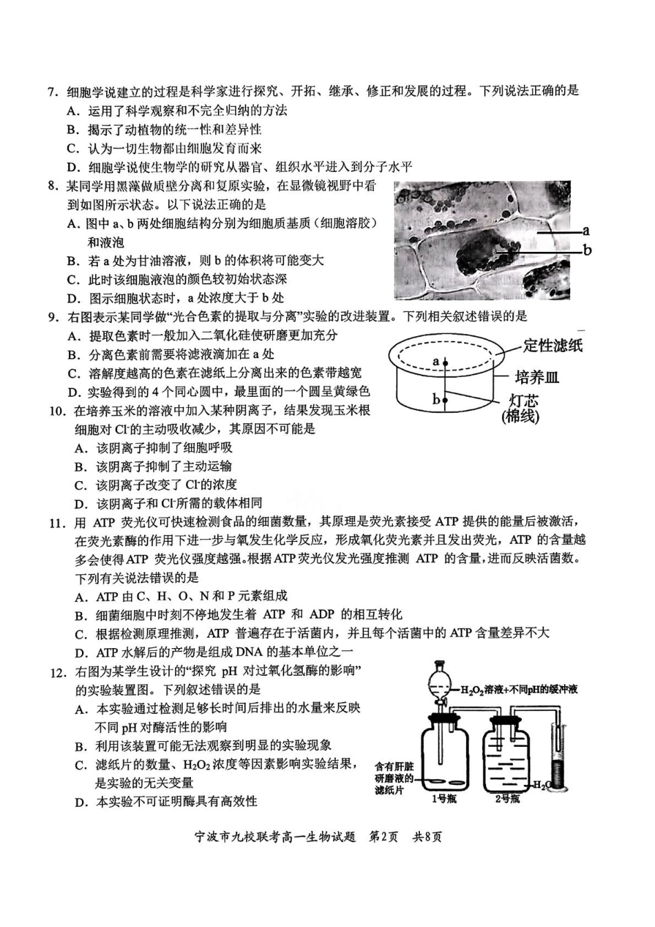 浙江省宁波市九校2024-2025学年高一上学期期末联考试题 生物 PDF版含答案.pdf_第2页
