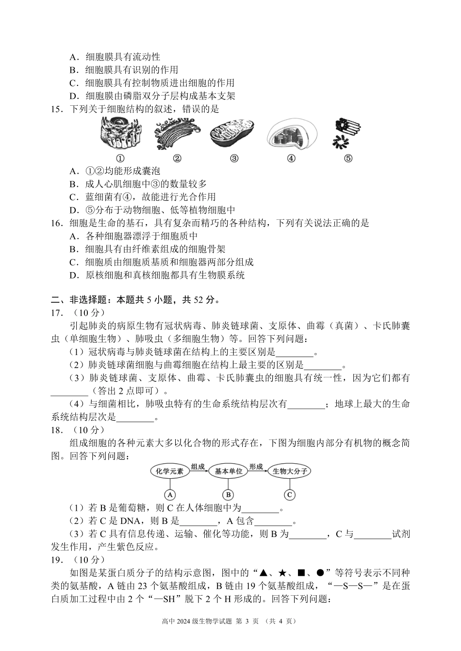 2024～2025学年度上期高中2024级期中考试生物学试题.pdf_第3页