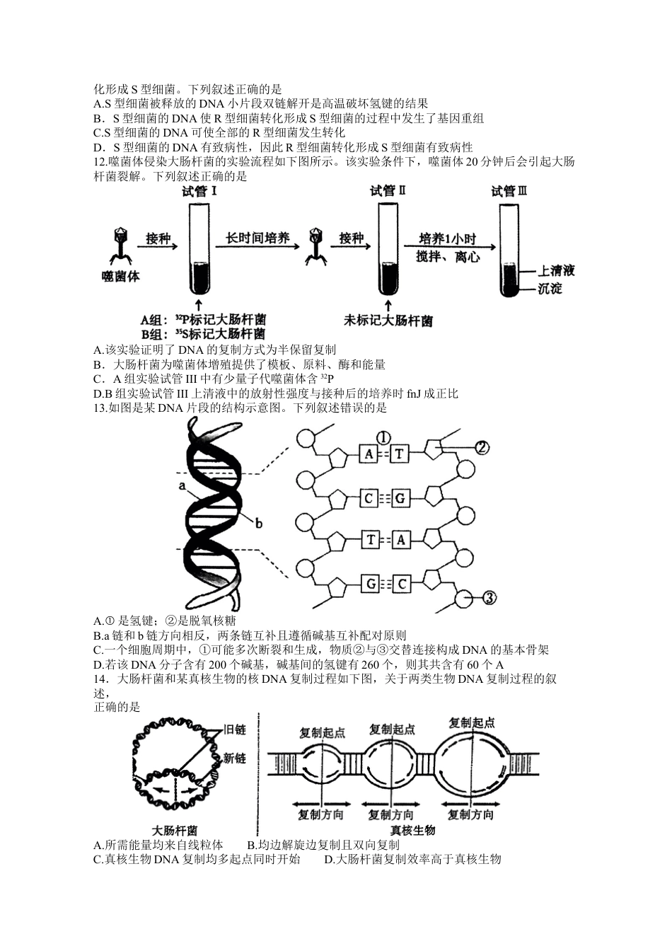 2024年春期期末高一生物参考答案.docx_第3页