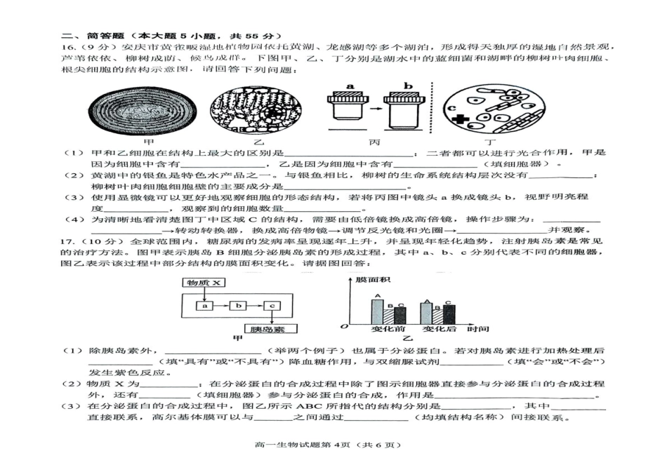 安徽省安庆市2024-2025学年第一学期期末统考高一生物试题及答案 高一生物试题.pdf_第3页