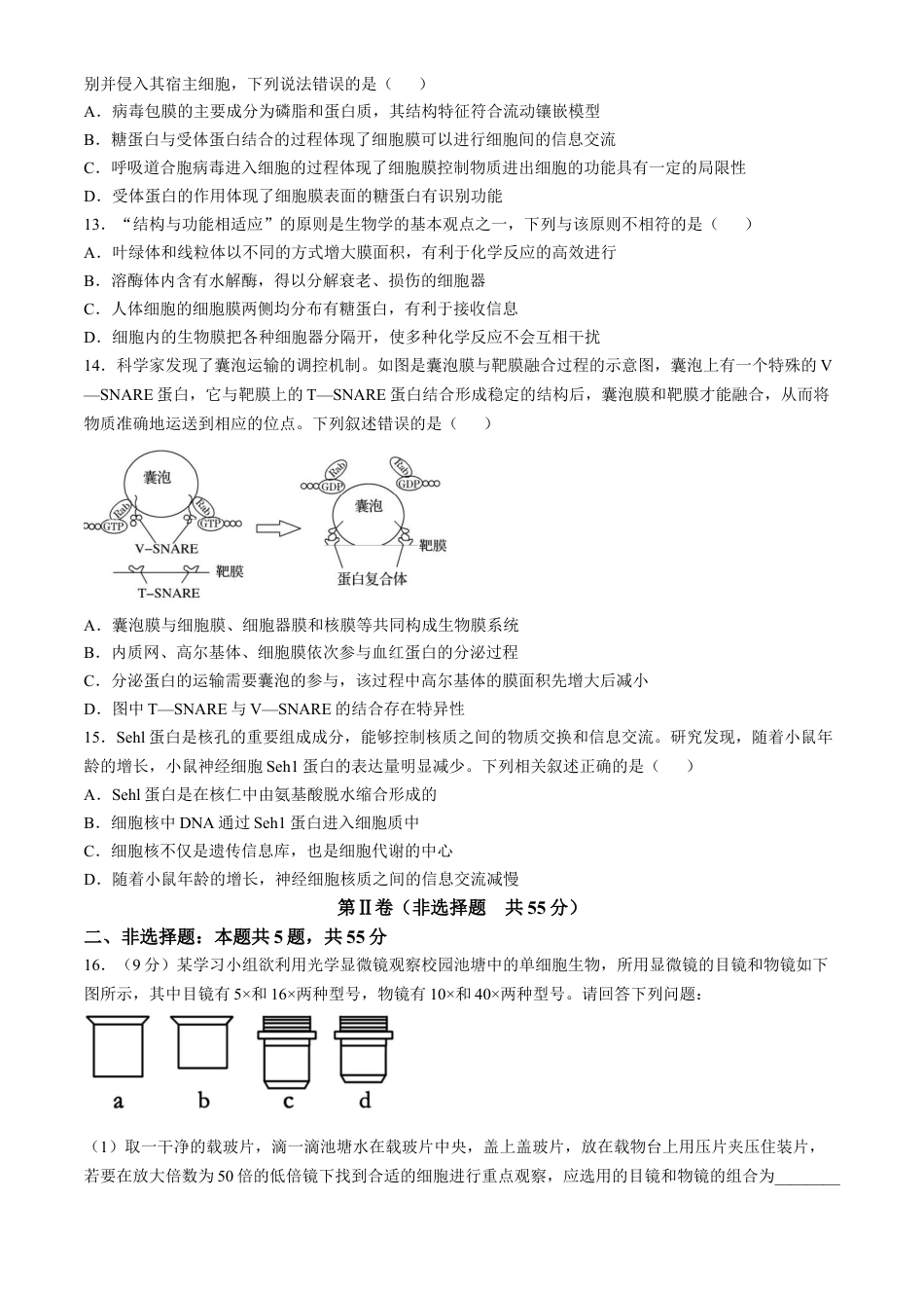 安徽省蚌埠市A层高中2024-2025学年高一上学期11月期中考试 生物 Word版含答案.docx_第3页