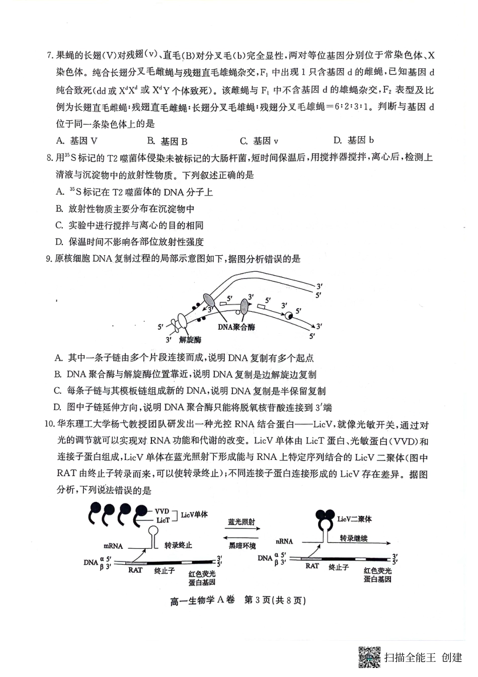 安徽省铜陵市等三市2023-2024学年高一下学期生物期末考试.pdf_第3页