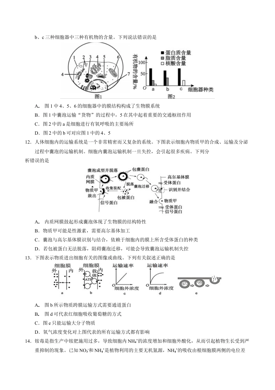 安徽师范大学附属中学2024-2025学年高一上学期12月月考生物试卷.docx_第3页