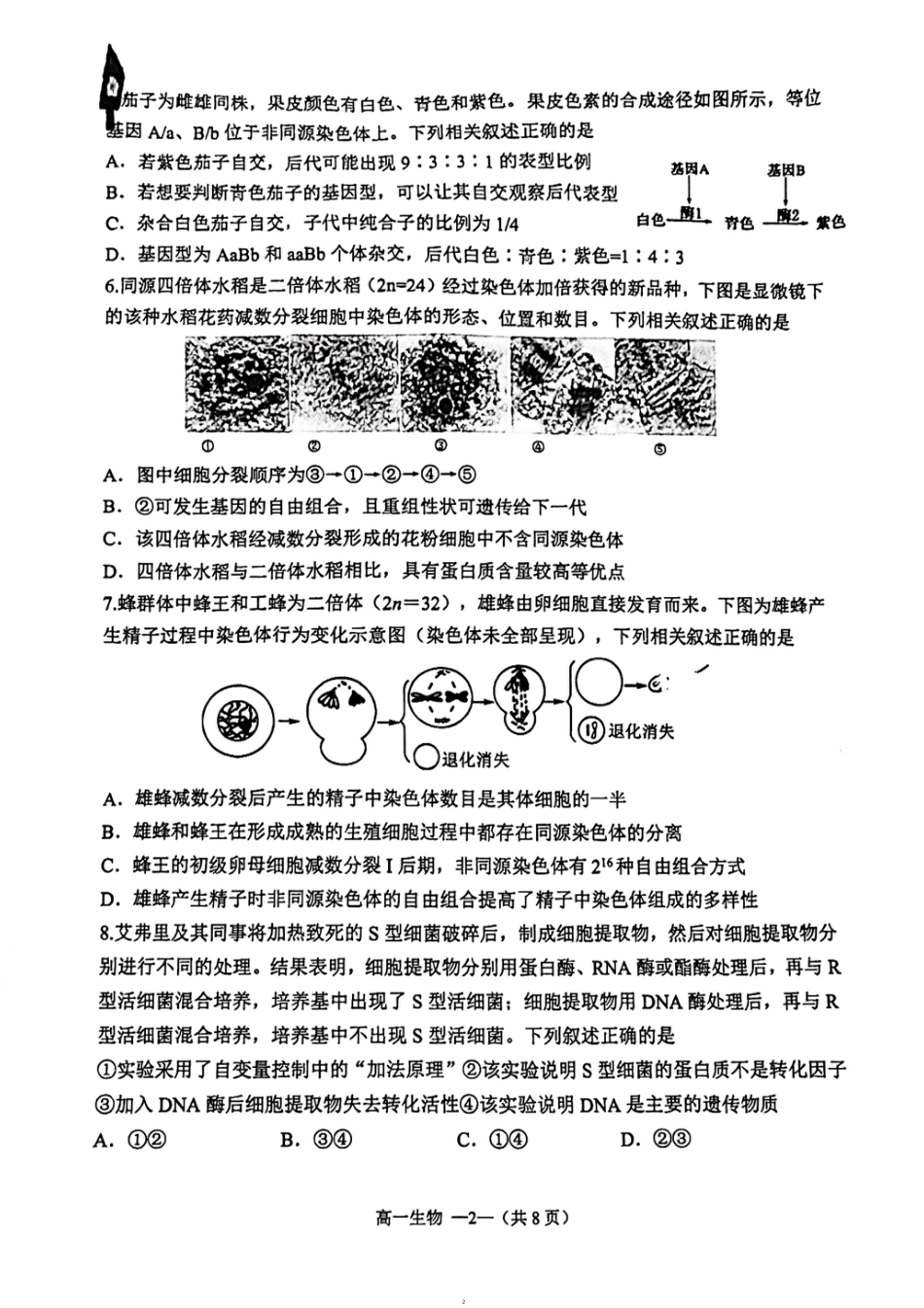 福建省福清市2023-2024学年高一下学期期末考试生物试题.pdf_第2页