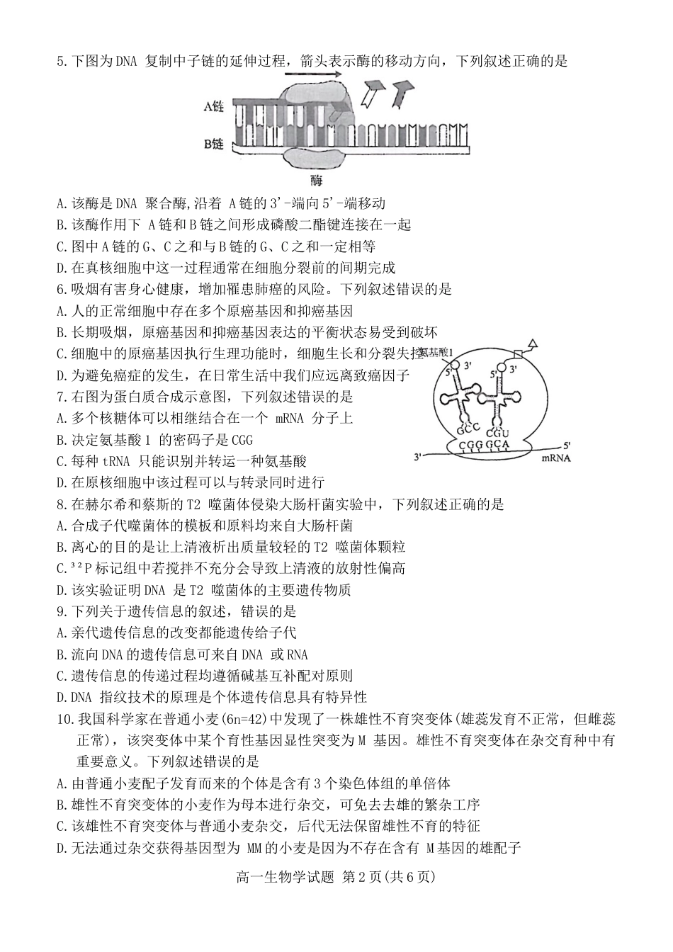福建省厦门市2023-2024学年高一下学期7月期末质量检测生物试题.docx_第2页